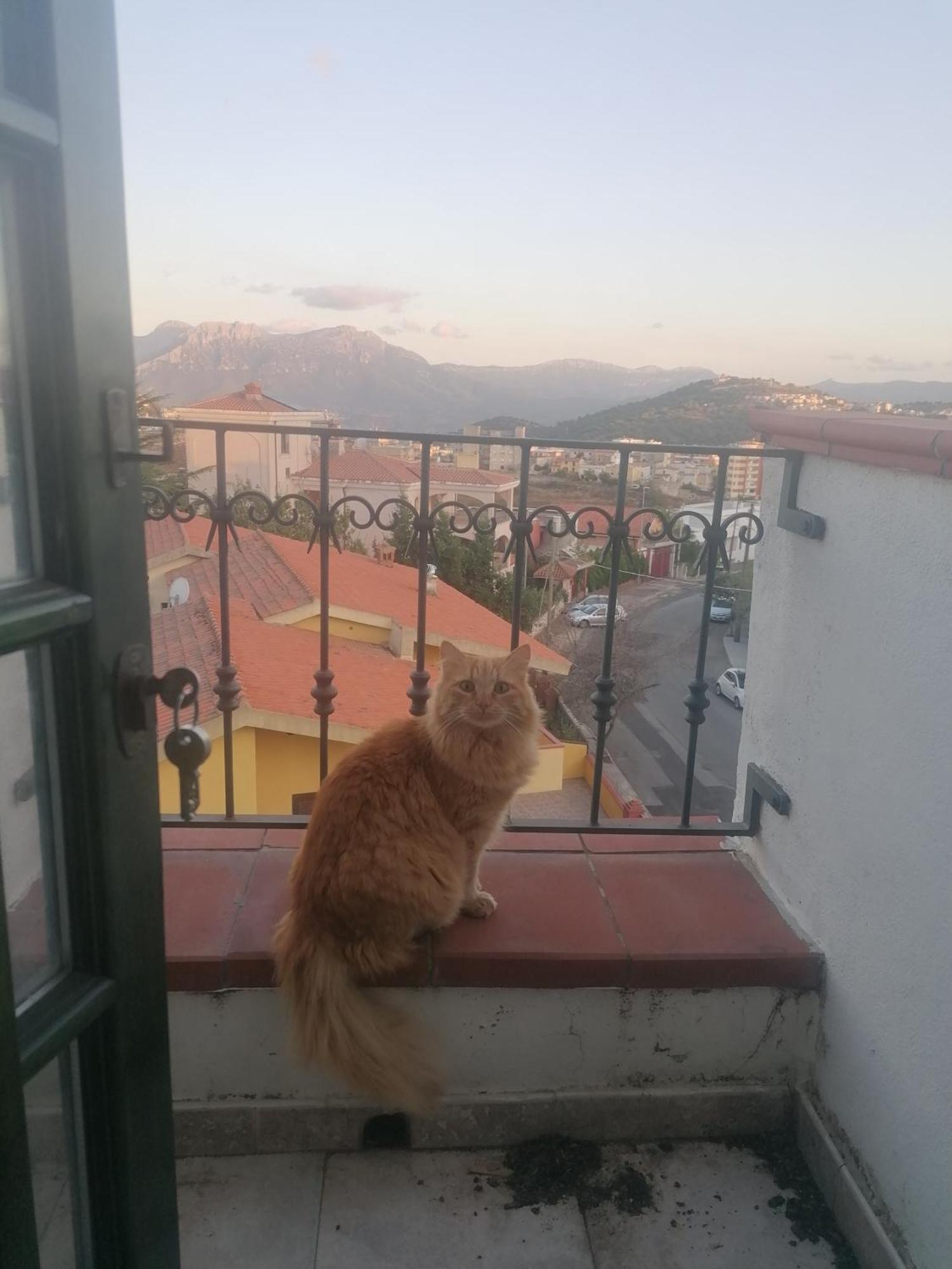 Coros Hotel Nuoro megye Kültér fotó